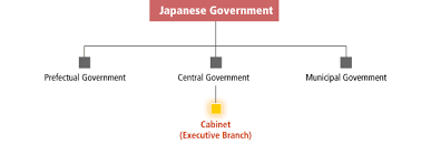 Organizational Arrangement Japan