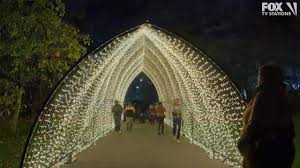 lightscape at brooklyn botanic garden