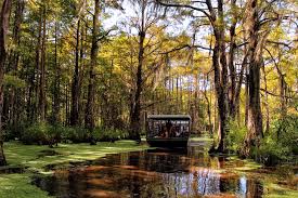 20 best things to do in louisiana the