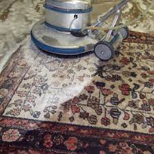 top 10 best rug cleaners near