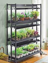 Indoor Vegetable Garden Tips Starting