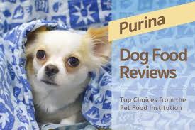 Purina Dog Food Reviews Top Choices From The Pet Food