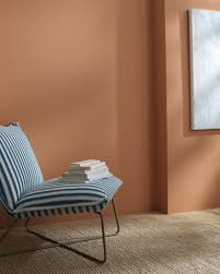 Potters Clay 1221 Benjamin Moore