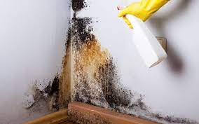 How To Clean Mold And Mildew Off Walls