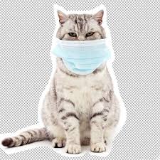 It controls the involuntary actions of the body. Can Cats Get Coronavirus