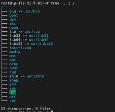 linux directory structure explained for