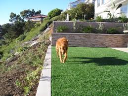 Pet Turf Best Artificial Grass For
