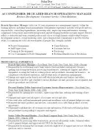 Operations Manager Sample Resume Bank Sample Resume Bank Operations