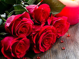 Hd Wallpaper Bouquet Red Roses