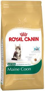 royal canin breed feline kitten maine