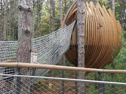 explore the longest canopy walk in us