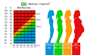 ideal weight for 5 4 female male
