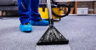 all year carpet cleaning 562 658 9841