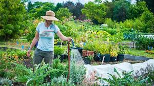 Gardening Courses Master Gardener