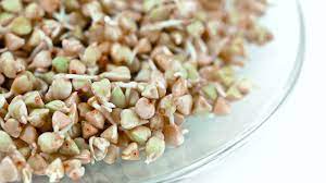 buckwheat sprouts nutritional facts
