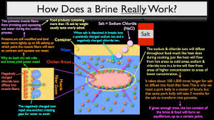 Fs 002 The Science Behind Brining Four Part Video Lecture