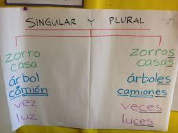 Singular Y Plural Dual Language Classroom Spanish Grammar