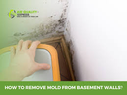 How To Remove Mold From Basement Walls
