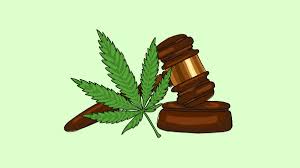There are many potential ways to get your charges dropped. I Hired A Lawyer To Eliminate A Marijuana Possession Charge Vox