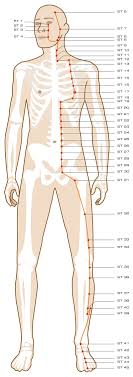 Stomach Meridian Acupuncture Points Smarter Healing