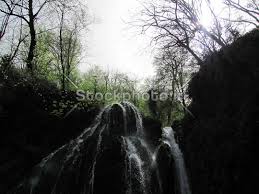 عکس جنگل و آبشار - دکوراسیون داخلی - معماری - استوک فوتو - خرید ...