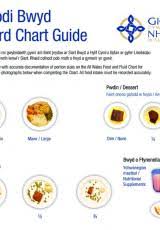 Food And Fluid Record Chart Gov Wales