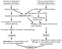 Frontiers Pathophysiology Evaluation And Management Of