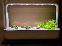 the 8 best indoor herb garden kits of