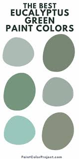 Best Eucalyptus Green Paint Colors