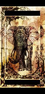 hd tribal elephant wallpapers peakpx