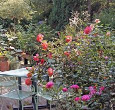 Grow A Rose Garden Hyannis Country Garden