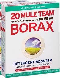 borax effectively eliminate body lice