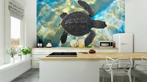 Wall Mural Baby Sea Turtle Swimming In