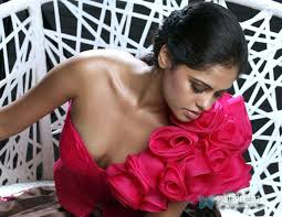 Image result for tamil actress images bindu madhavi