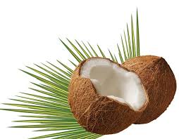 coconut meat nutrition health benefits