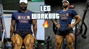 perfect leg workout to build big legs