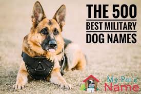 1 400 military dog names generator