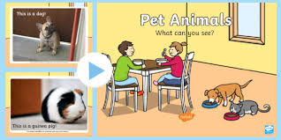 An animal kept for enjoyment or companionship. Pet Animals What Can You See Powerpoint Teacher Made
