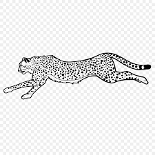 cheetah skin png transpa images