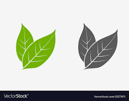 cdn2 vectorstock com i 1000x1000 78 71 tea leaves