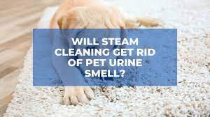 pet urine smell