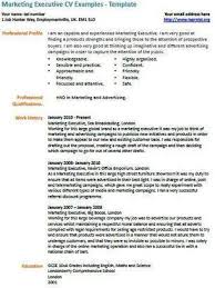 IT Systems Administrator CV Example