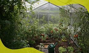 What Should I Grow In My Greenhouse