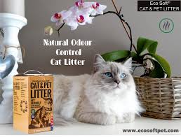 It's a super strong clay litter that has an incredible clumping action considering the price. Unbiased Ever Clean Litter Review 2020 We Re All About Cats