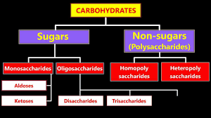 Classification Of Carbohydrates