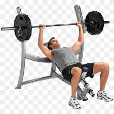 bench press weight training cybex