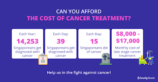 This, in combination with the high costs of. Can You Afford Cancer Treatment An Insight On The True Cost Of Cancer Treatment In Singapore