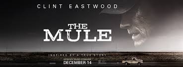 The Mule Film | Facebook