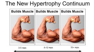 how many reps should i do to build muscle