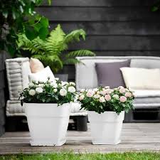 Flowerpot Cachepot Garden Planter Box